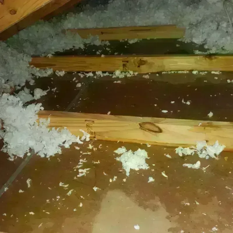 Attic Water Damage in Portage, PA