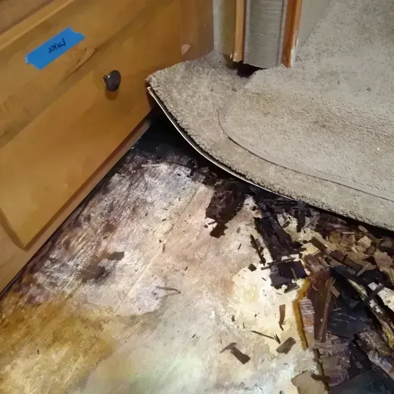 Wood Floor Water Damage in Portage, PA